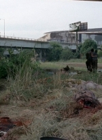 twd0506-2446.jpg