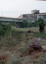 twd0506-2447.jpg