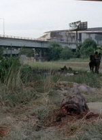 twd0506-2448.jpg