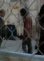 twd0506-3231.jpg