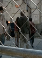 twd0506-3248.jpg