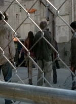 twd0506-3249.jpg