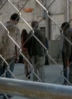 twd0506-3250.jpg