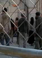 twd0506-3252.jpg