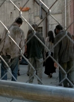 twd0506-3253.jpg