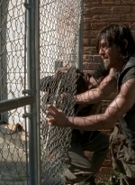 twd0506-3269.jpg