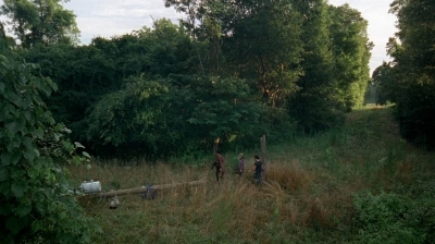 twd0507-1061.jpg