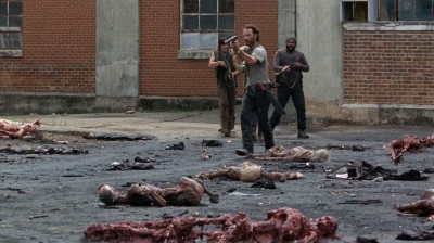 twd0507-1730.jpg