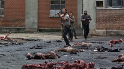 twd0507-1731.jpg