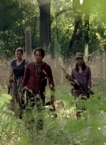 twd0507-1105.jpg