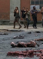 twd0507-1726.jpg