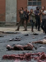 twd0507-1727.jpg