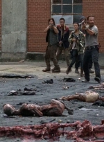 twd0507-1728.jpg