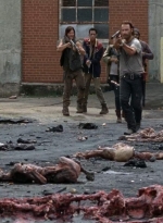 twd0507-1729.jpg