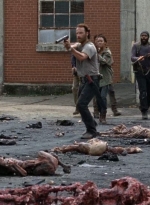 twd0507-1731.jpg