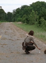 twd0507-2952.jpg