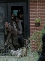 twd0508-0346.jpg