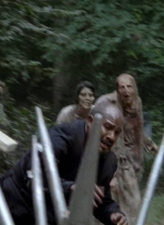 twd0508-0409.jpg