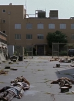 twd0508-2821.jpg