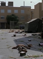 twd0508-2823.jpg