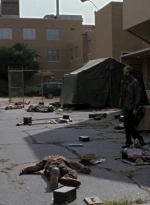 twd0508-2824.jpg