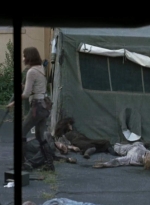 twd0508-2835.jpg