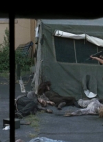 twd0508-2837.jpg