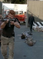 twd0508-2846.jpg