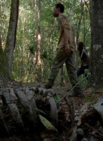 twd0509-0502.jpg