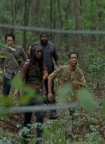 twd0509-0521.jpg