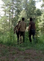 twd0509-0600.jpg