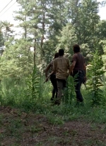 twd0509-0601.jpg