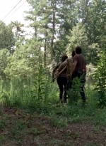 twd0509-0602.jpg