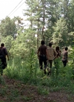 twd0509-0605.jpg