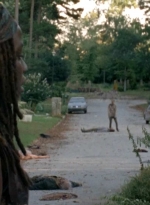 twd0509-0763.jpg