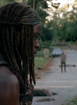 twd0509-0812.jpg