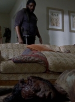 twd0509-1291.jpg