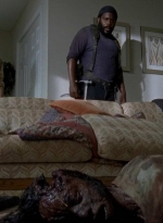 twd0509-1293.jpg