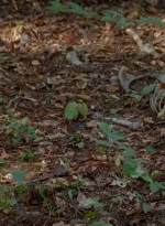 twd0509-1513.jpg