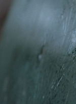 twd0509-1515.jpg