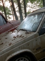 twd0509-1520.jpg
