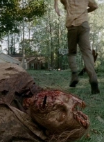 twd0509-2070.jpg