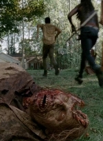 twd0509-2071.jpg