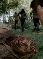 twd0509-2072.jpg