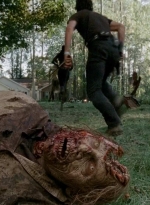 twd0509-2073.jpg