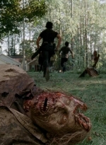 twd0509-2074.jpg