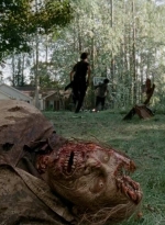 twd0509-2075.jpg