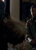 twd0509-2169.jpg
