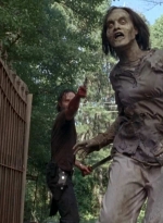 twd0509-2548.jpg