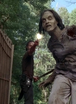 twd0509-2549.jpg